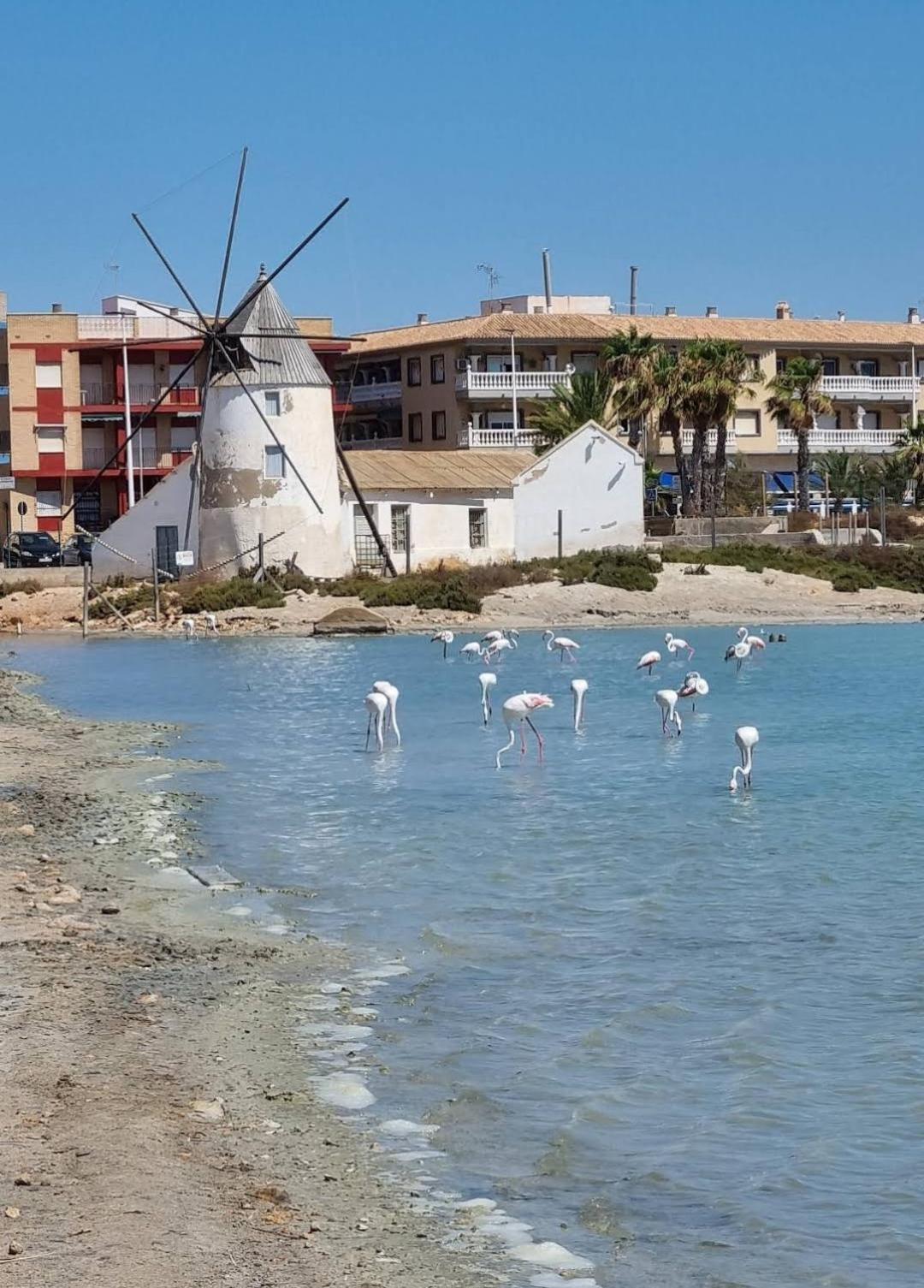 Casa Del Sol Apartman San Pedro del Pinatar Kültér fotó